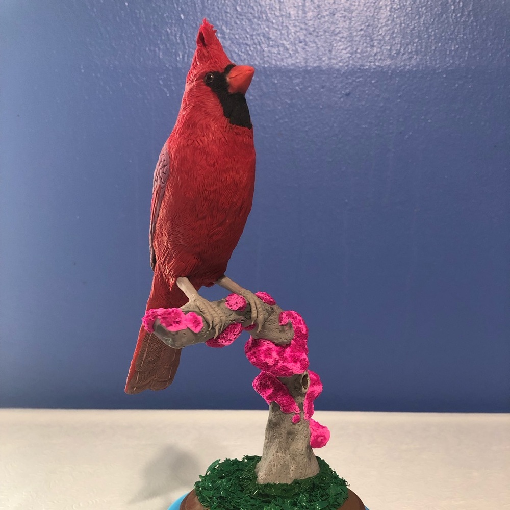 A beautiful Northern Cardinal on a Redbud tree.